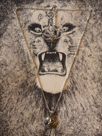 16AC-110 Hybrid Star Native Coin Necklace,, small image number 2