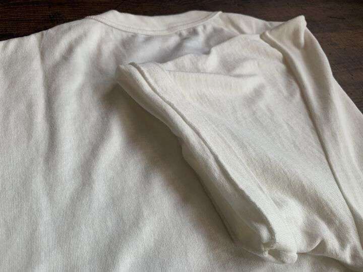 ENTRY SG. &times; DENIMIO Collaboration ESGDM01 STANDARD "Tsuri-ami" T-shirt (WHT,BLK),WHITE, medium image number 9