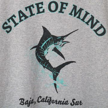 BR-26147 TOUGH-NECK SS PT-T 【STATE OF MIND】,GRAY, small image number 2