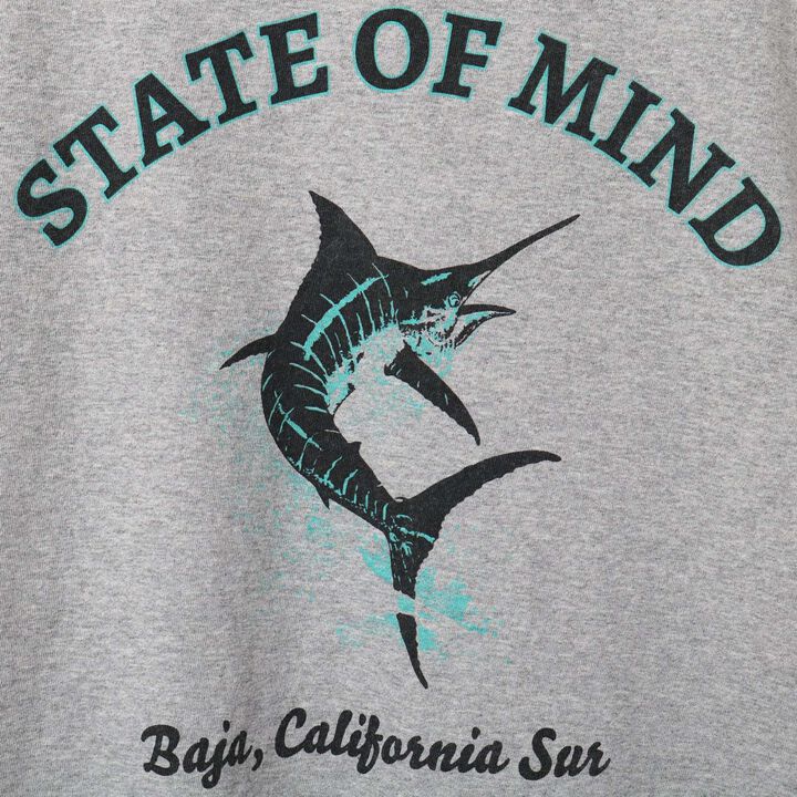 BR-26147 TOUGH-NECK SS PT-T 【STATE OF MIND】,GRAY, medium image number 2