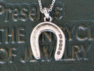 17AJK-157 Good Luck Necklace,, small image number 1