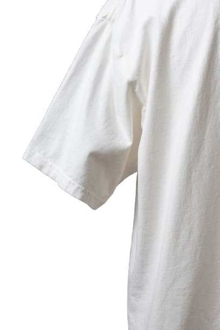 MTE015 Round Body T-shirt "BEAVER PR AMBASSADOR",LIGHT BLUE, medium image number 5