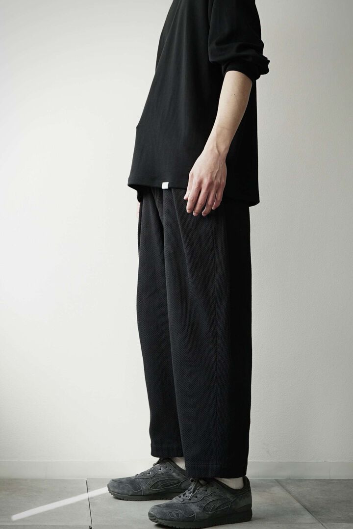 233PT20 Ancient Dyed Sashiko / W-Tuck Pants,LOGWOOD BLACK, medium image number 2