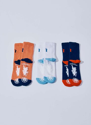 SJKS25-NEL CREW SOCKS,NAVY × RED, small image number 5