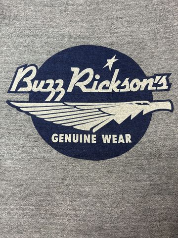 BR69507 FREEDOM SLEEVE SWEAT BUZZ RICKSON'S,GRAY, small image number 5