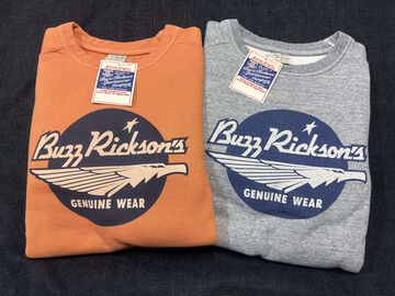 BR69507 FREEDOM SLEEVE SWEAT BUZZ RICKSON'S,GRAY, small image number 9