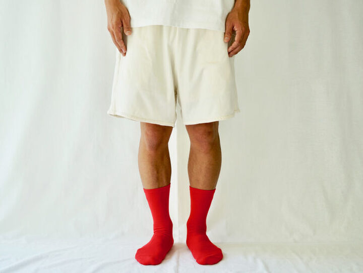 NK0201 EGYPTIAN COTTON PLAIN SOCKS RED,RED, medium image number 6