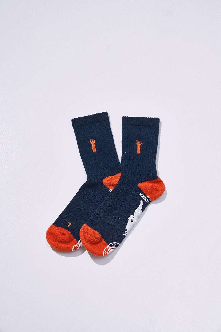 SJKS26-NEL Crew Socks,TURQUOISE, medium image number 2