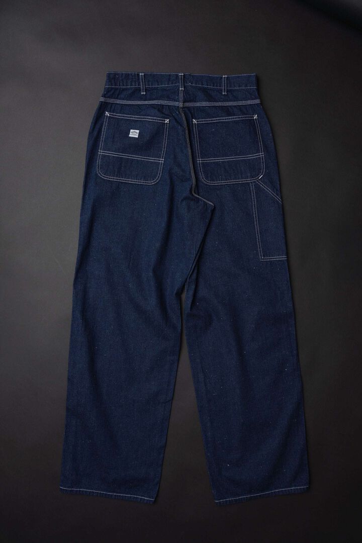 WR545F (81) PAINTER PANTS (One washed),, medium image number 2