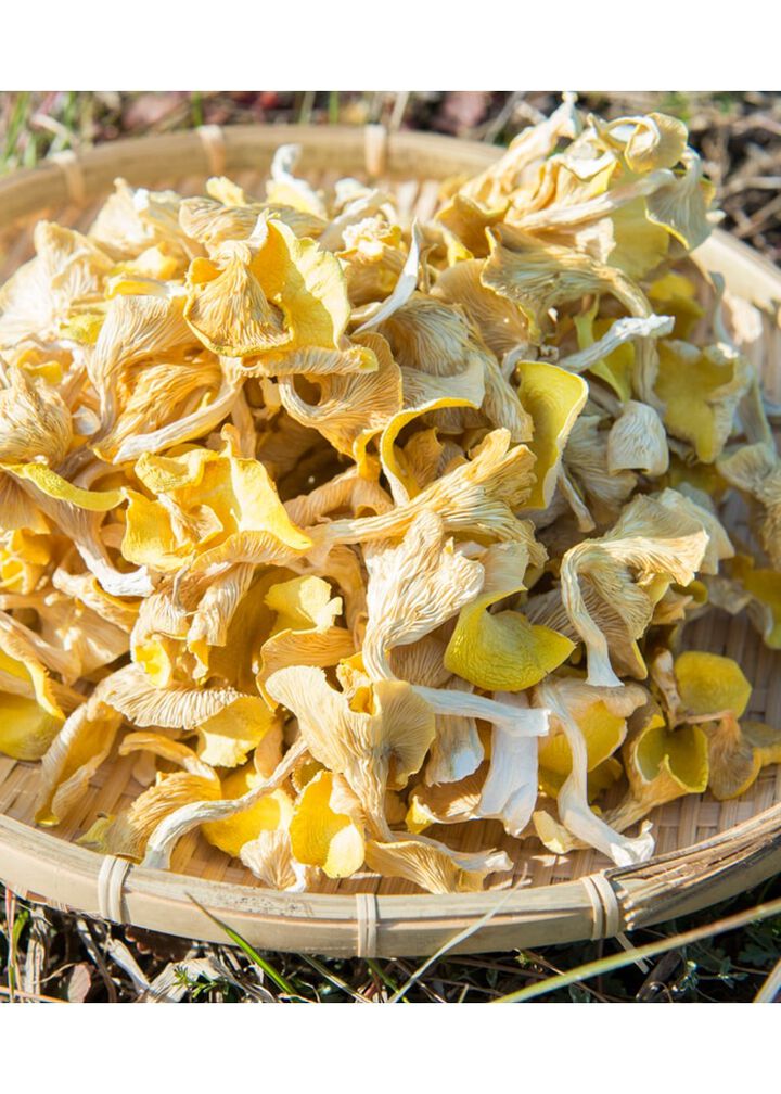 Dried Flower Shiitake Mushrooms - Set of 5 Bags,, medium image number 0