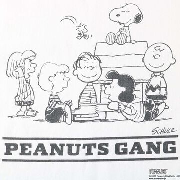 BR-25267 H/W RAGLAN "SNOOPY" T (3COLORS),ORANGE, small image number 12