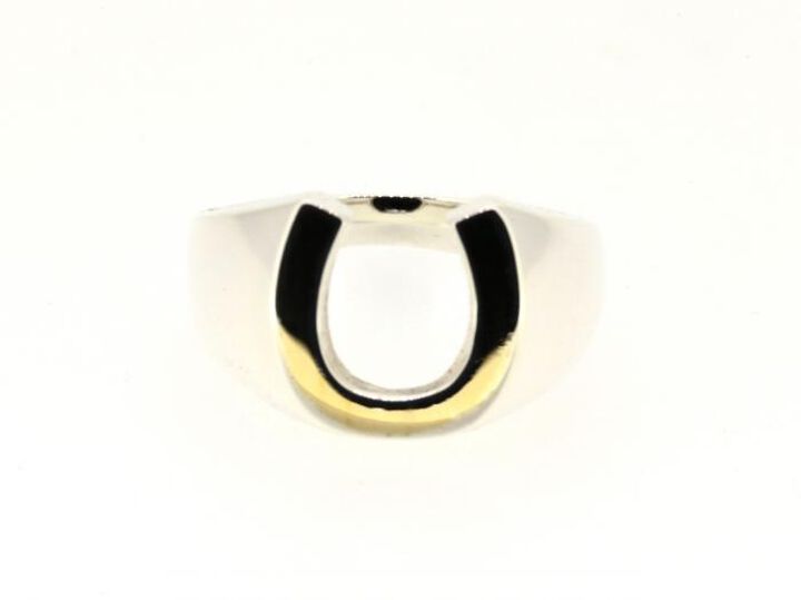 HYJK-244SV-BRS Brass Horseshoe Signet RG SV-BRS,, medium