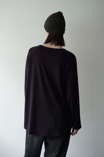 CAP708CS24 Super140s Washable Wool Jersey /Baseball Tee,SHIGOKU-IRO, small image number 0