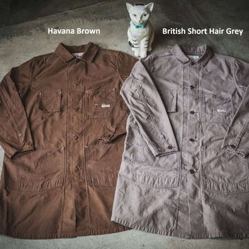 TCB Tabby's Coat British Short Hair Grey,, small image number 1