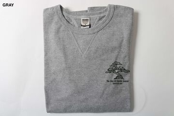 BR-26359 COZUN "BONSAI" LONG SLEEVE GUSSET-T (7COLORS),RED, small image number 5