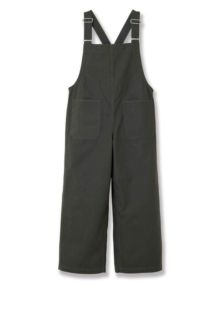 SDL-1025 Cotton Serge Overall,BE, medium image number 2