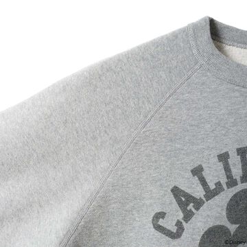 BR-26388 TSURI X JACKSON Sweatshirt,GRAY, small image number 9