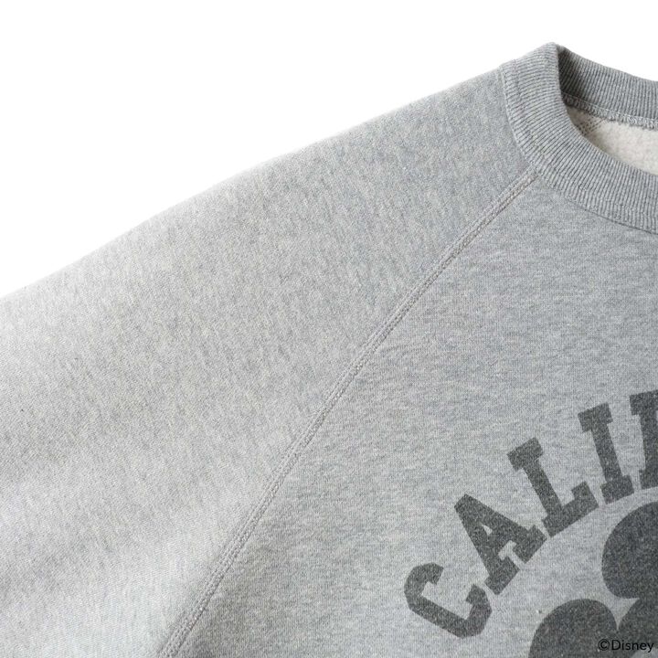 BR-26388 TSURI X JACKSON Sweatshirt,GRAY, medium image number 9