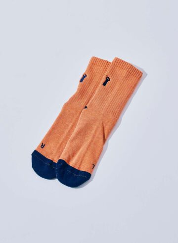SJKS25-NEL CREW SOCKS,NAVY × RED, small image number 6