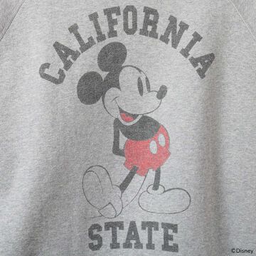 BR-26388 TSURI X JACKSON Sweatshirt,GRAY, small image number 5