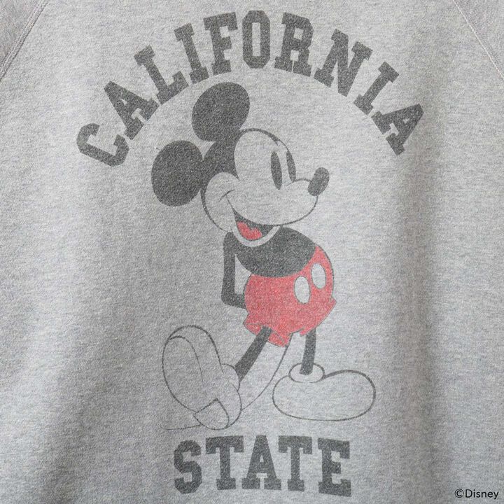 BR-26388 TSURI X JACKSON Sweatshirt,GRAY, medium image number 5