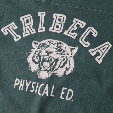 BR-25341 Pigment Dye 14/- GOAT L/S FOOTBALL T-shirt 【TRIBECA】,WHITE, small image number 12