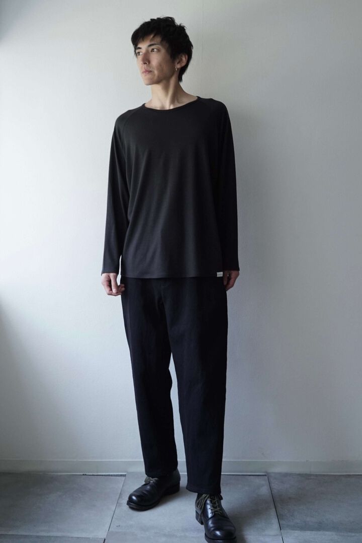 CAP708CS24 Super140s Washable Wool Jersey /Baseball Tee,SHIGOKU-IRO, medium image number 5