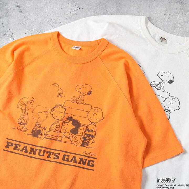 BR-25267 H/W RAGLAN "SNOOPY" T (3COLORS),, medium