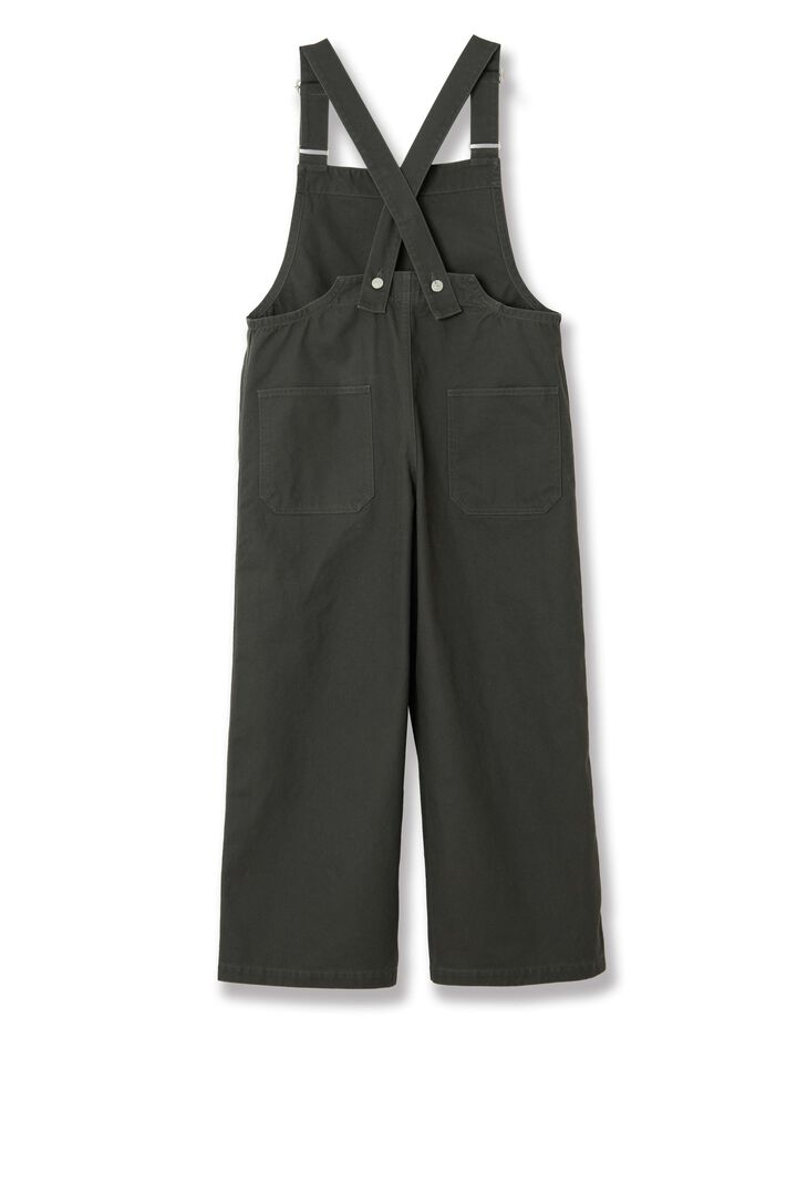 SDL-1025 Cotton Serge Overall,BE, medium image number 3